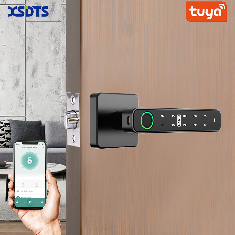 Smart Home Keyestudio - XSDTS 투야 핸들 지문 키 카드