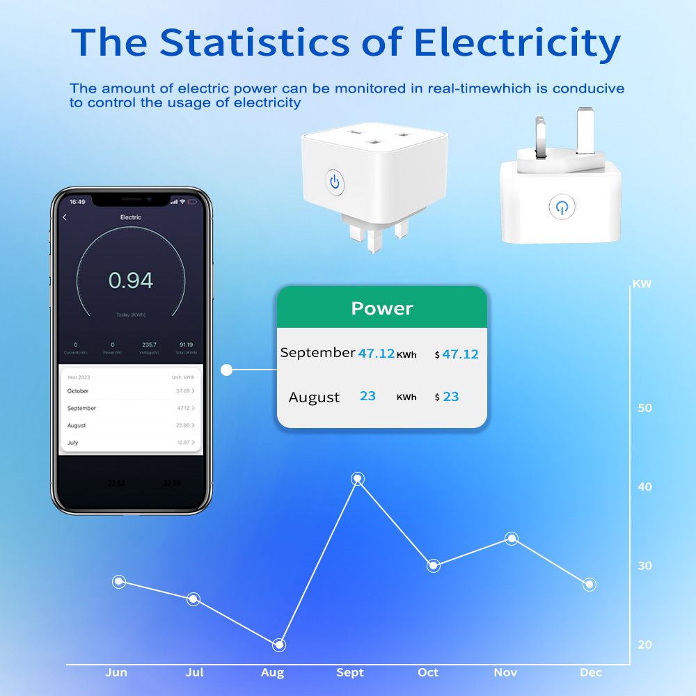 Tuya 스마트 소켓 16A/20A WiFi 또는 Zi - Smart Home Features 리뷰 및 가격