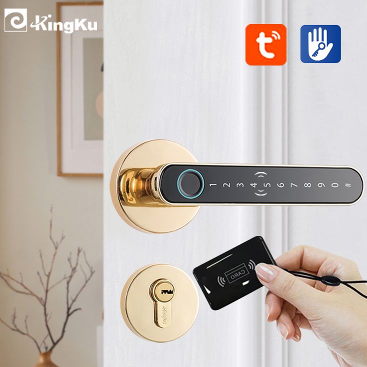 스마트 지문 문짝 잠금 핸들, 홈 아파트용 키 카드,  - Smart Home Keyestudio 리뷰 및 가격