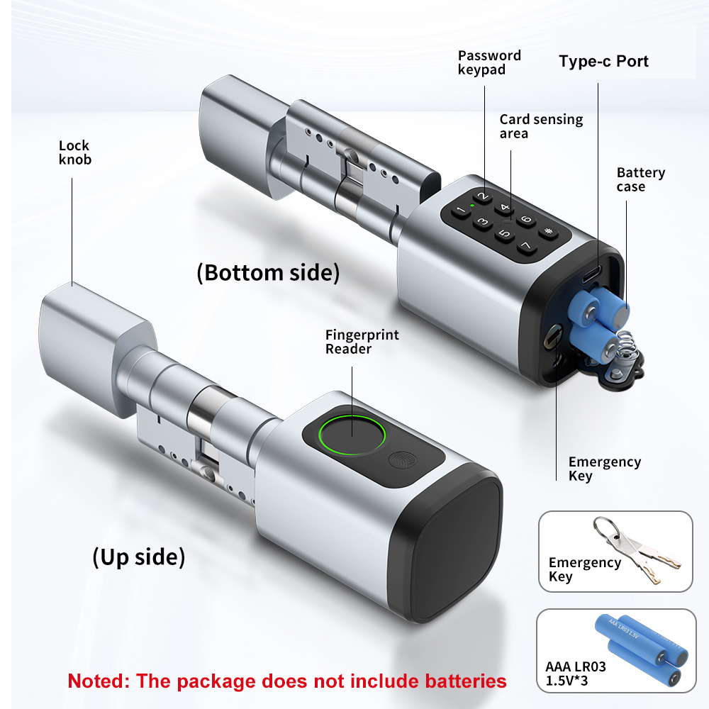 RAYKUBE V1 Tuya BLE TT 잠금 장치 D - Smart Home Keyestudio 리뷰 및 가격